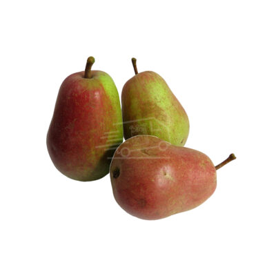 Տանձ Անտառային գեղեցկուհի