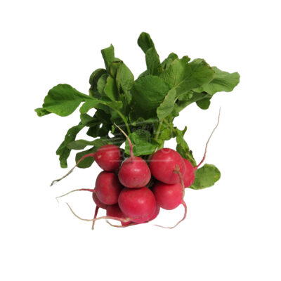 Բողկ կարմիր