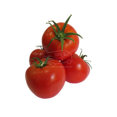 Լոլիկ Մոխիտոս