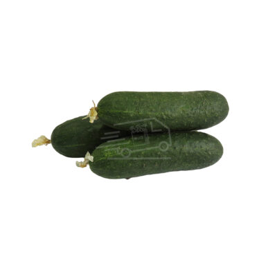 Վարունգ ռուսական