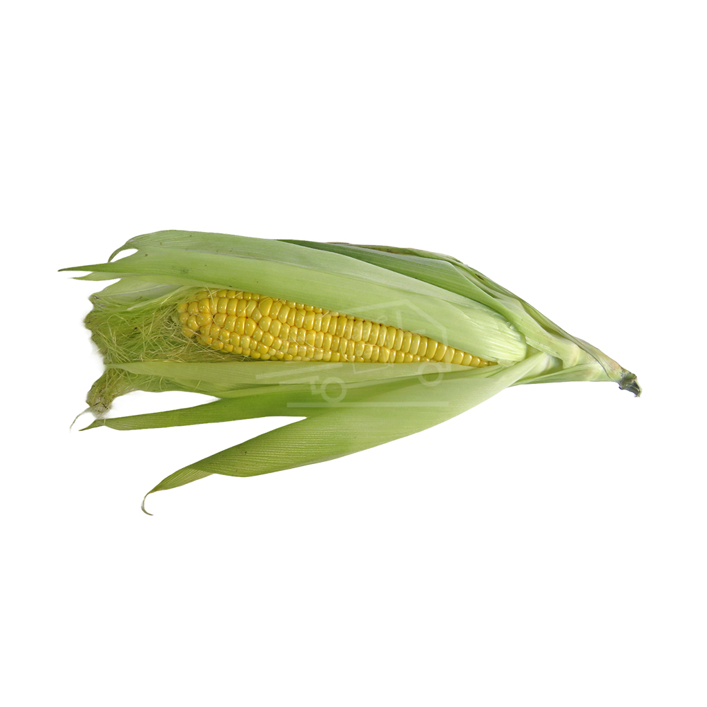 Corn