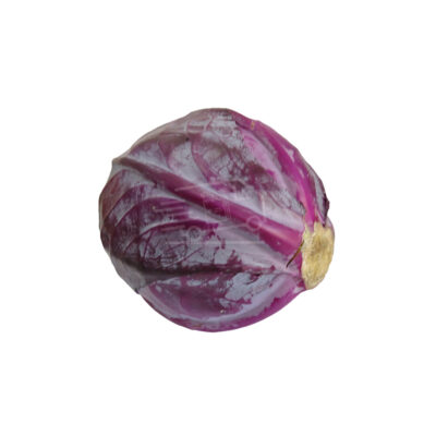 Red Cabbage