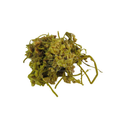 Թթու ջոնջոլի