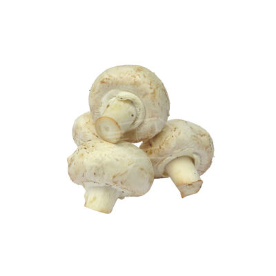 Champignon Mushroom