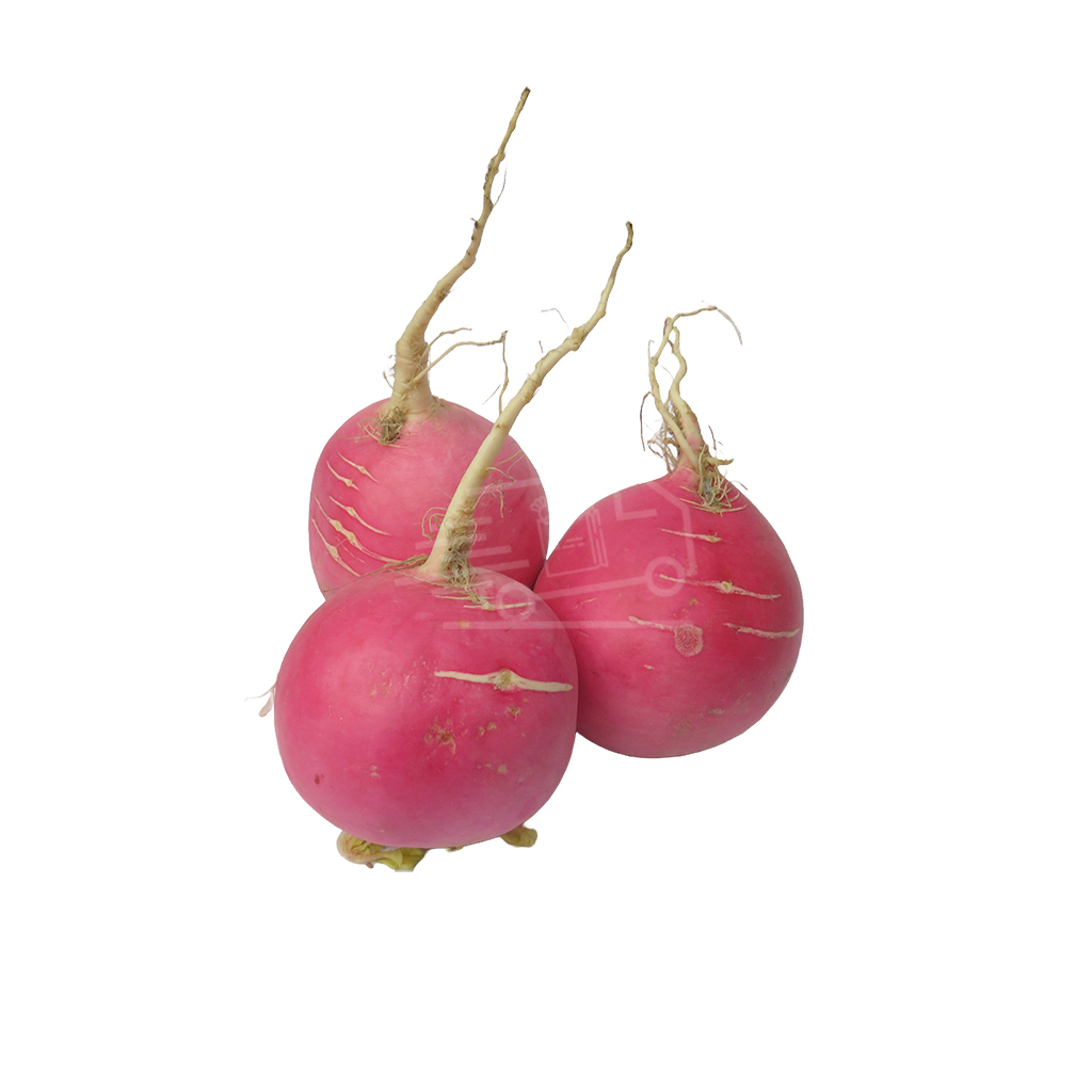 Red radish