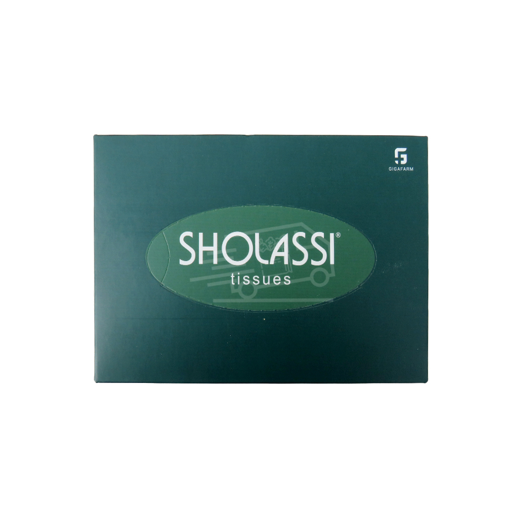 Չոր անձեռոցիկ Շոլասսի թիշու էքստրա սոֆթ 3 շերտ