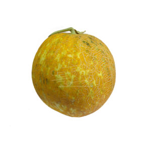 Սեխ