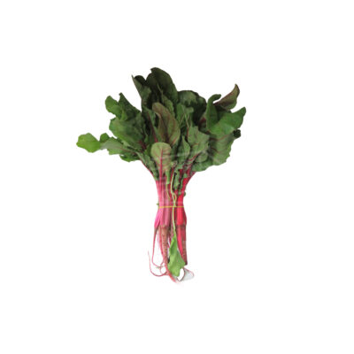 Բազուկի ճավ կարմիր