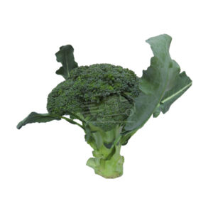 Բրոկոլի