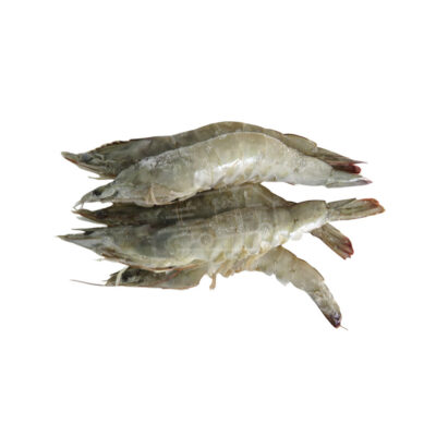 Shrimp with Head 0.5kg