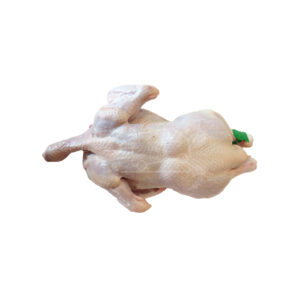Հավ
