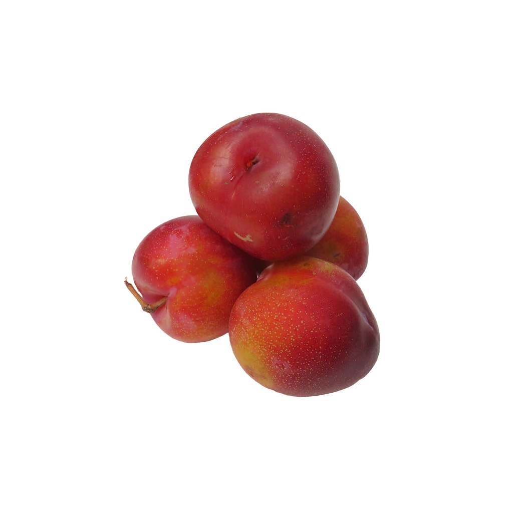 Դամբուլ (սալոր)