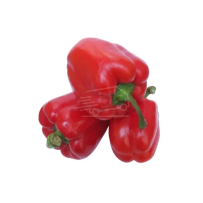 Red Bell Pepper