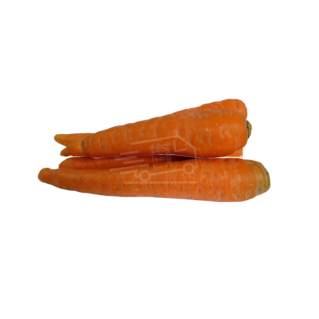 Carrot