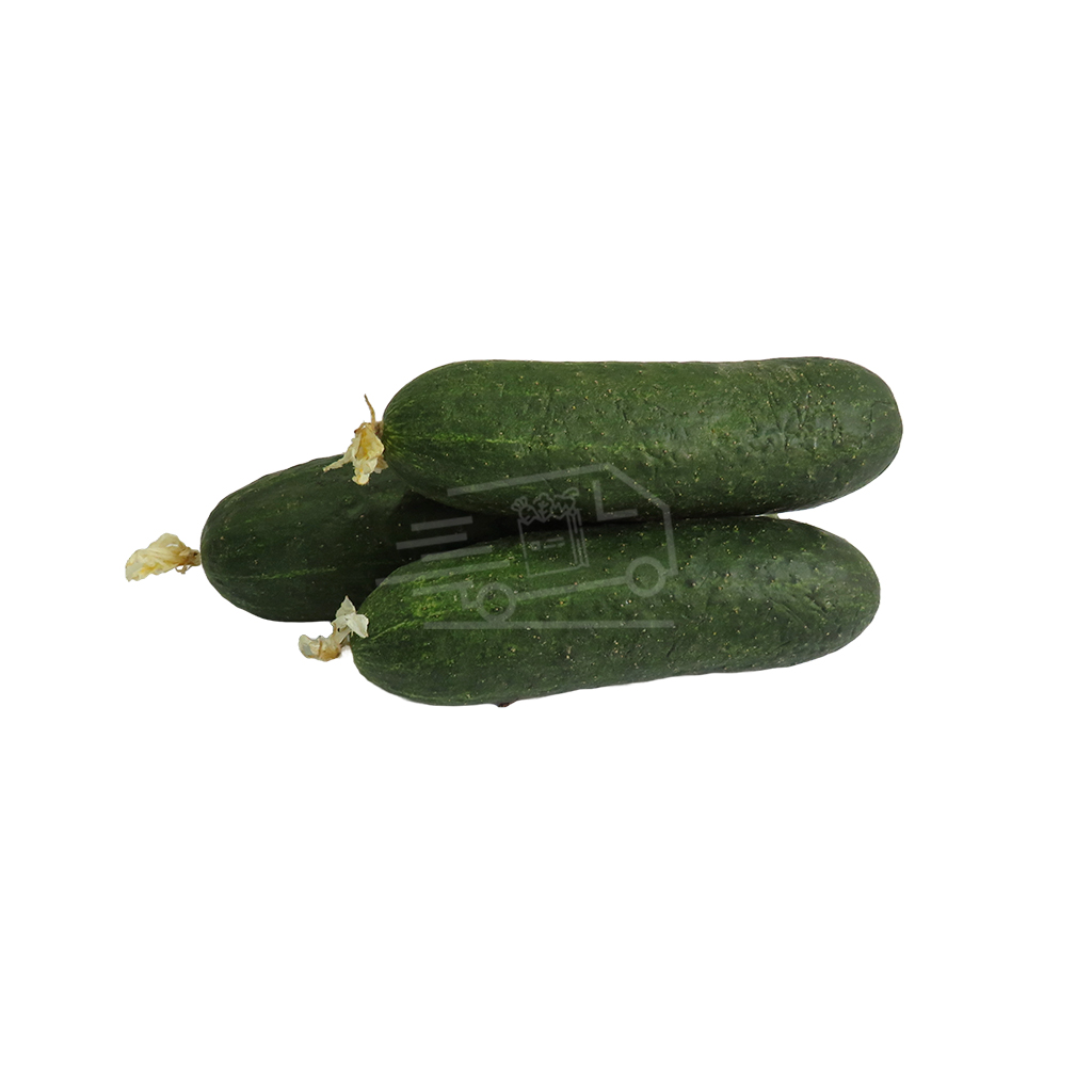 Վարունգ ռուսական