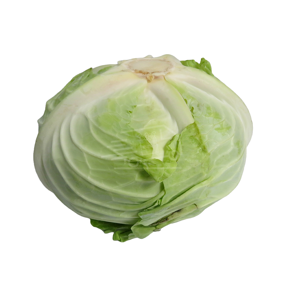 Cabbage