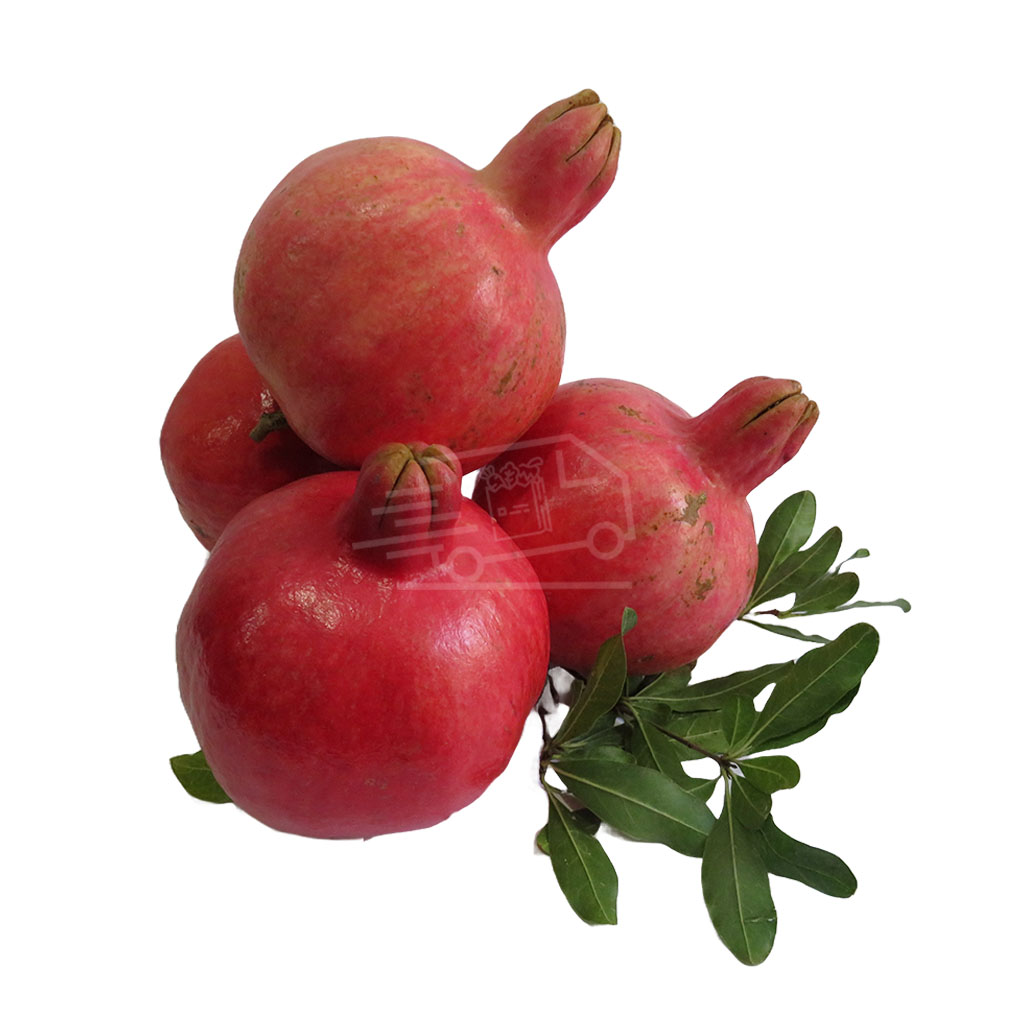 Նուռ
