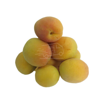 Ծիրան
