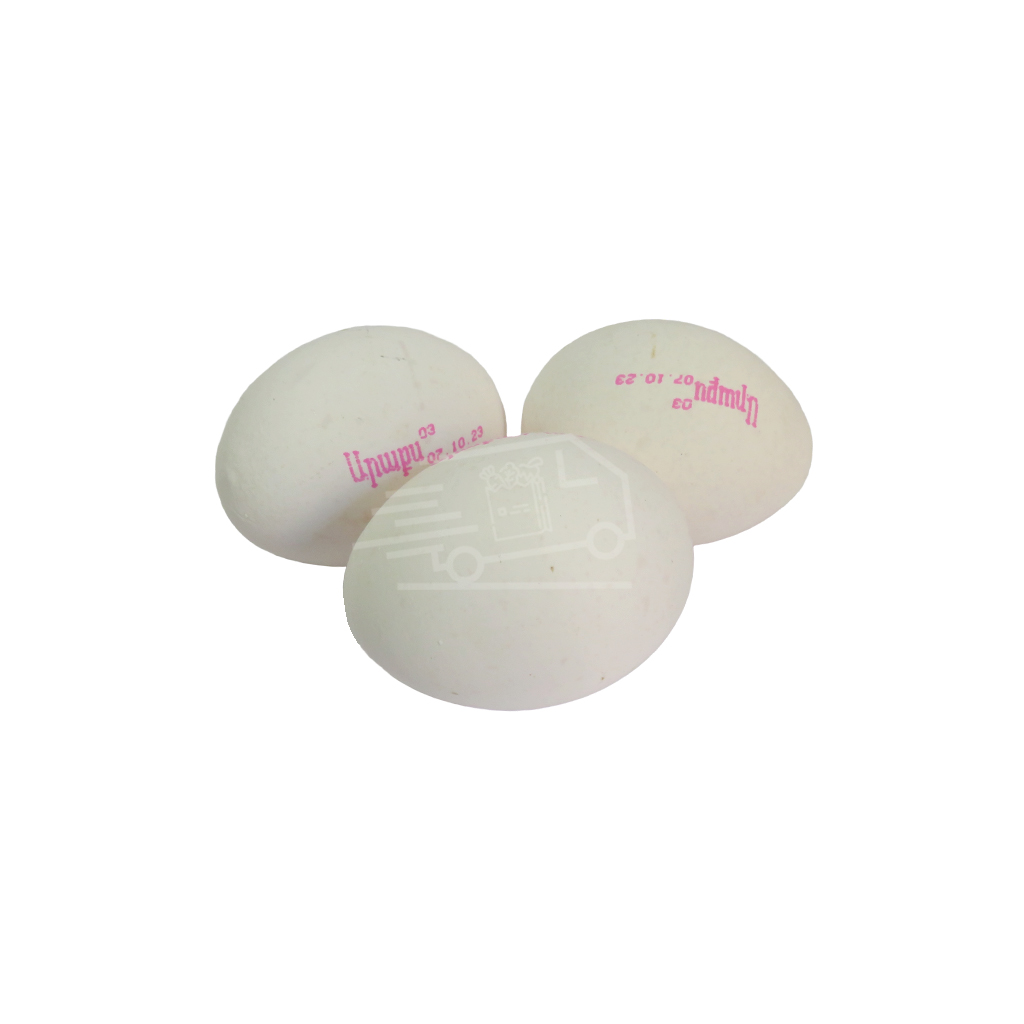 Eggs Arax size 03