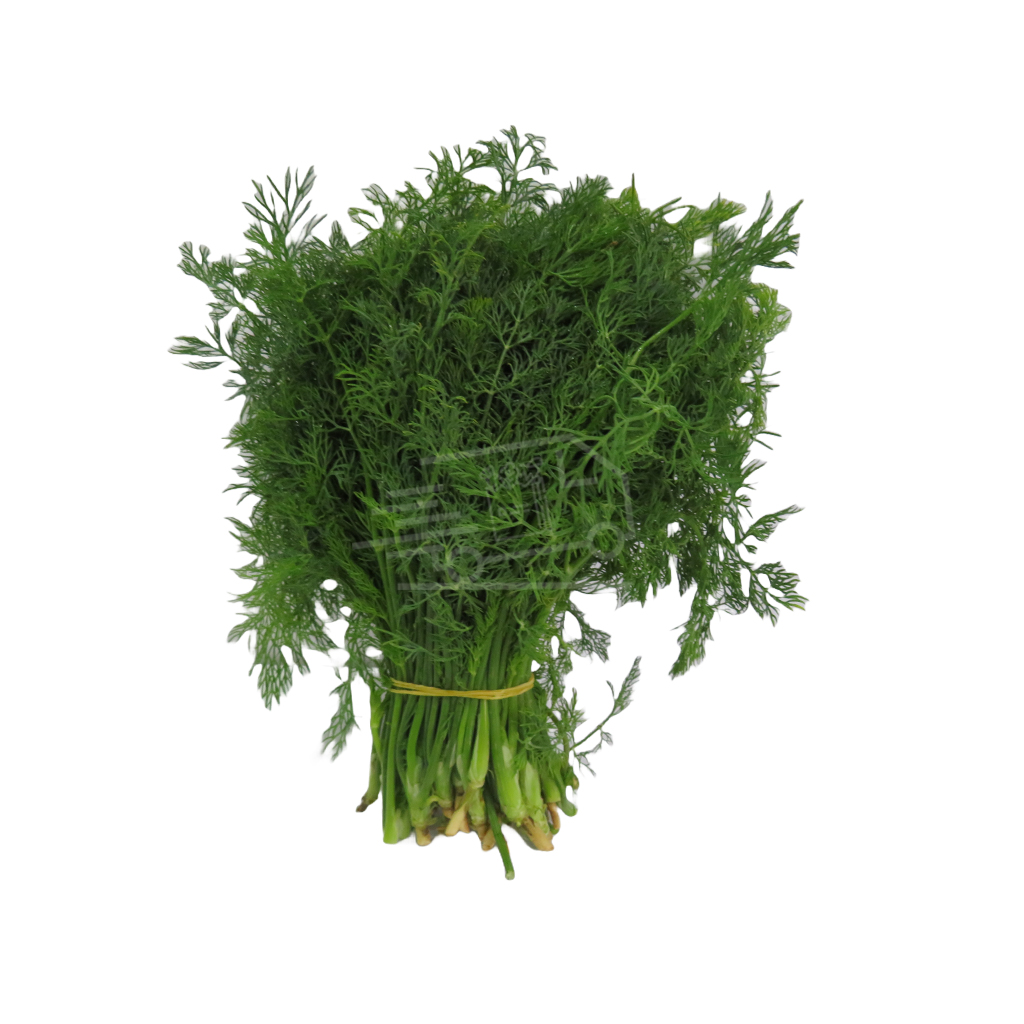 Dill