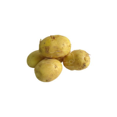 Կարտոֆիլ նոր