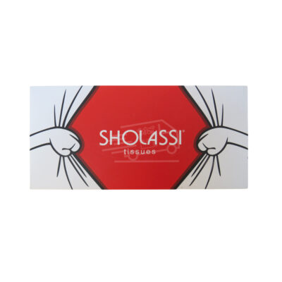 Չոր անձեռոցիկ Շոլասսի թիշու էքստրա սոֆթ 3 շերտ N100