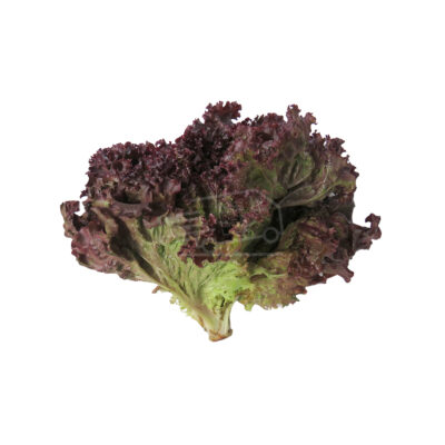 Հազար կարմիր