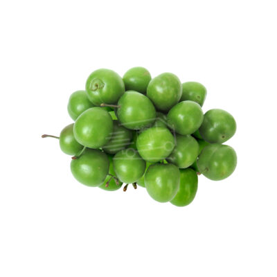 Շլոր