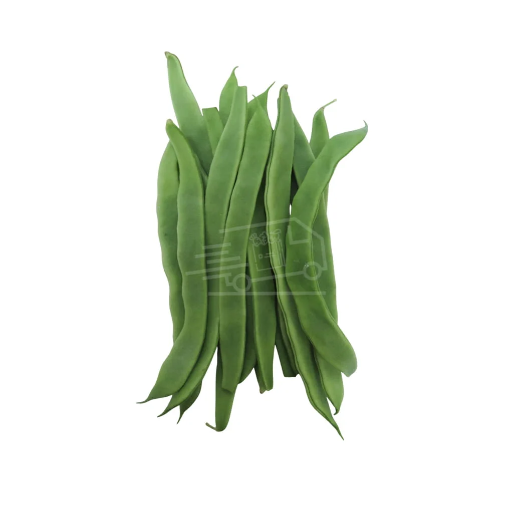 Լոբի թարմ կանաչ