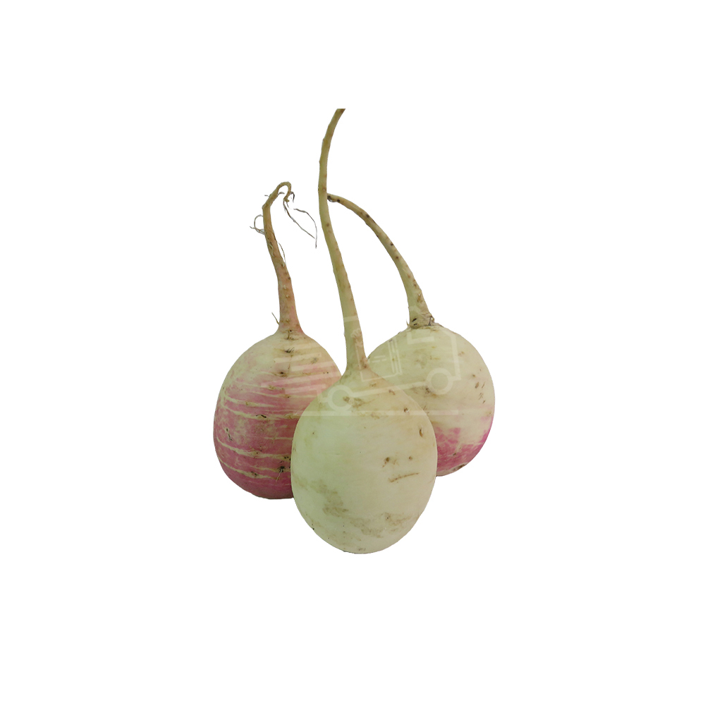 Բողկ սպիտակ