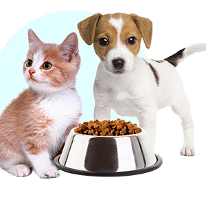 Կենդանիների կեր