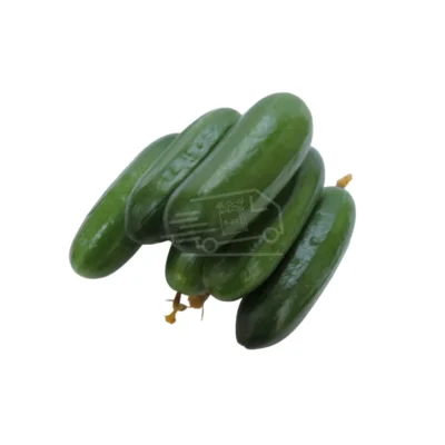 Վարունգ չերրի