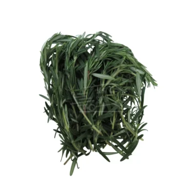 Ռոզմարին (Հազրեվարդ)