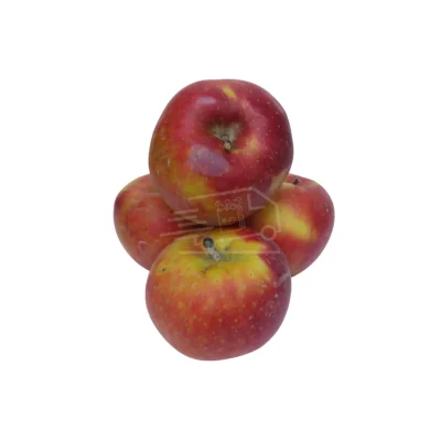 Խնձոր Ֆուջի